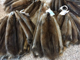 Tanned Muskrat