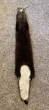 Tanned Otter